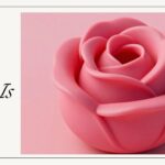 What Is a Rose Toy